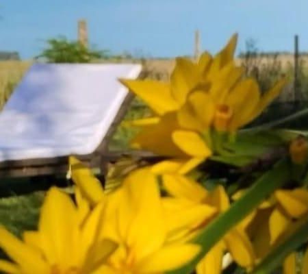 La Narcisa Villa Pehuajo Dış mekan fotoğraf