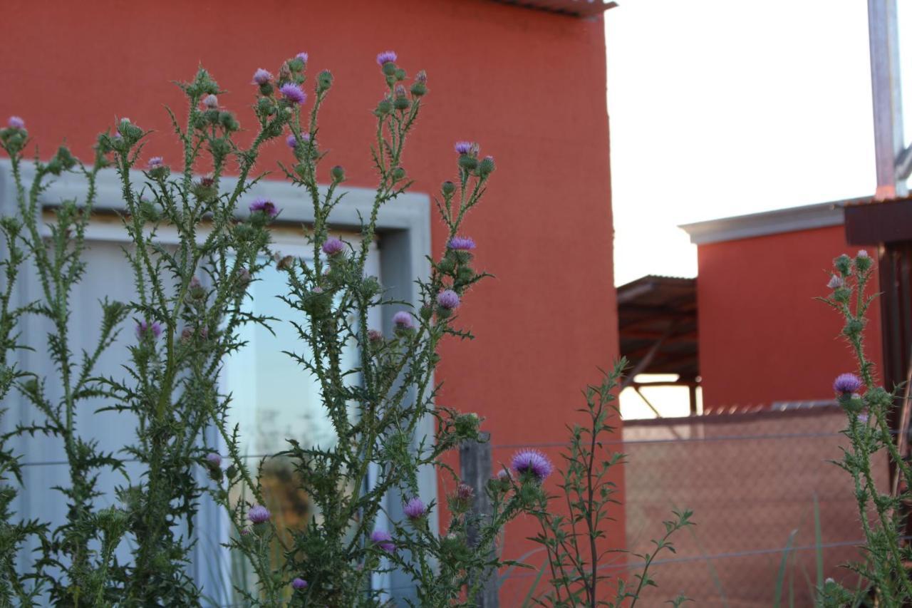 La Narcisa Villa Pehuajo Dış mekan fotoğraf