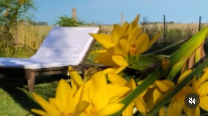 La Narcisa Villa Pehuajo Dış mekan fotoğraf