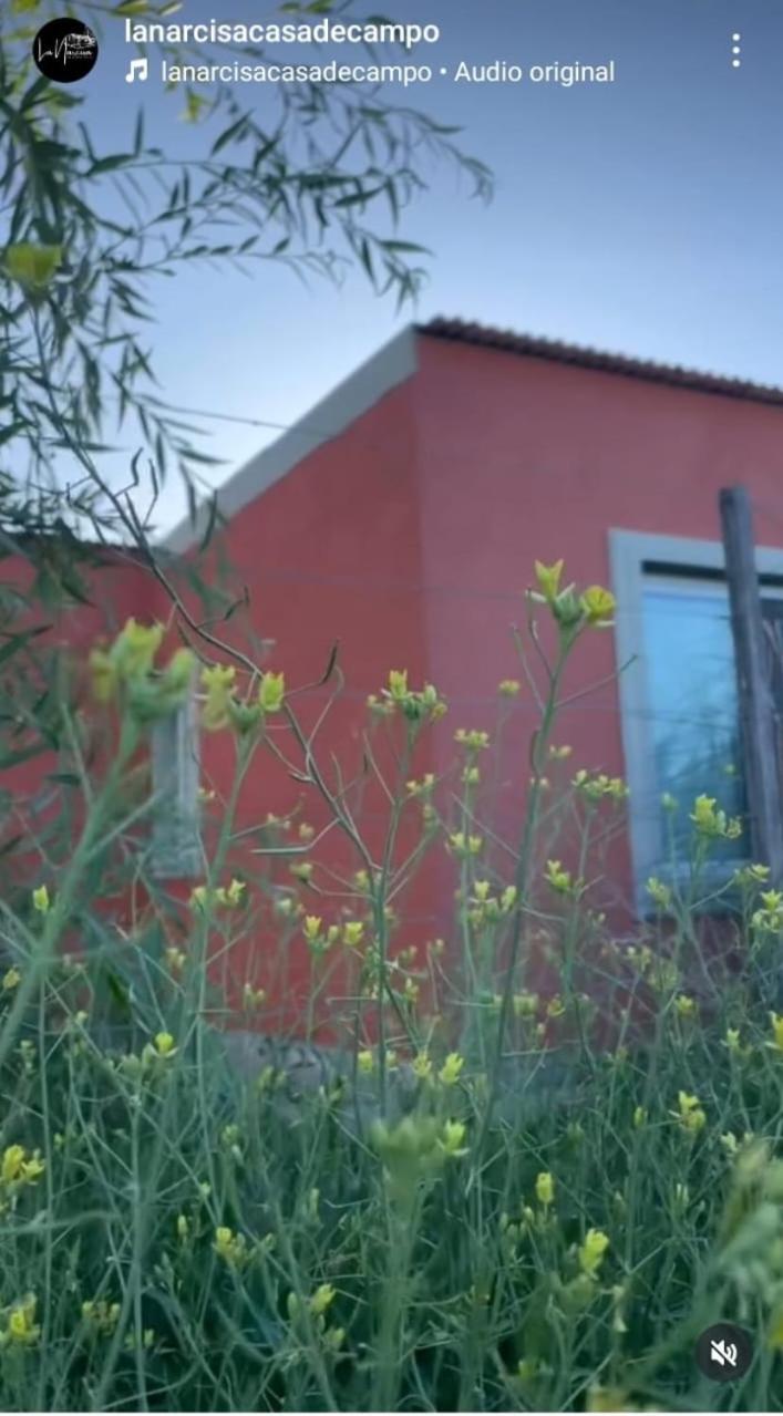La Narcisa Villa Pehuajo Dış mekan fotoğraf